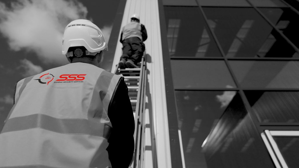 SSS Team picture up a ladder