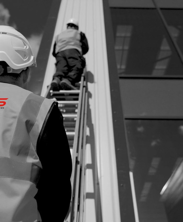Welcome to our new website!